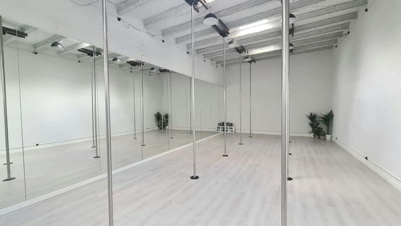 Barcelona: Pole Dancing Class - What you do in 90 minutes: warm-up to your mini choreo