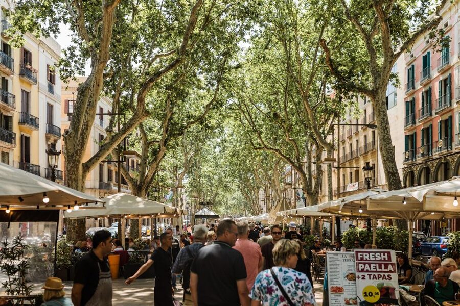 Barcelona: Private Custom Tour with a Local – Icons & Gems - Languages, group size, and comfort details that matter