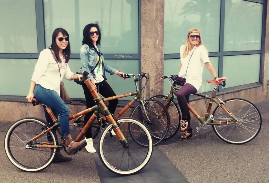 Barcelona: Private Highlights Tour by Bamboo Bicycle - Gothic Quarter and Arc de Triomf: two Barcelona moods in one ride