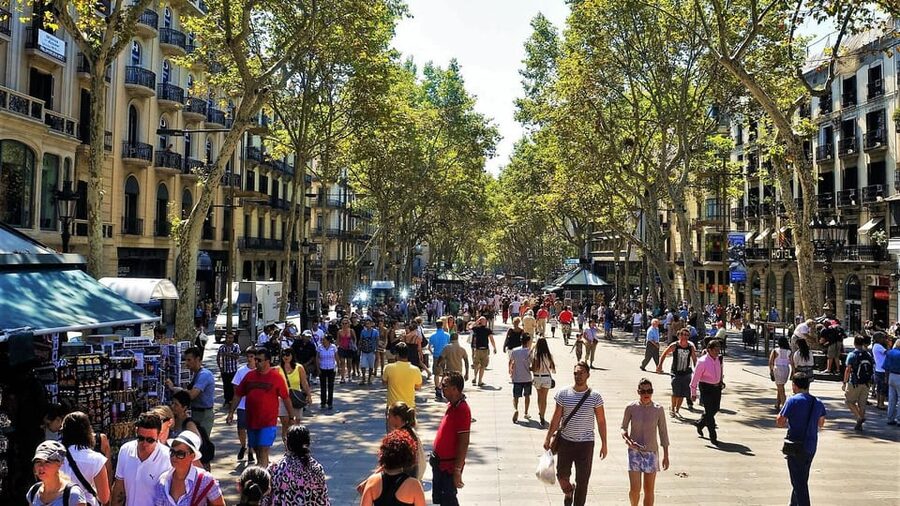 Barcelona: Sagrada Familia and Park Güell with Hotel Pickup - Park Güell on a hill: Gaudí plus nature