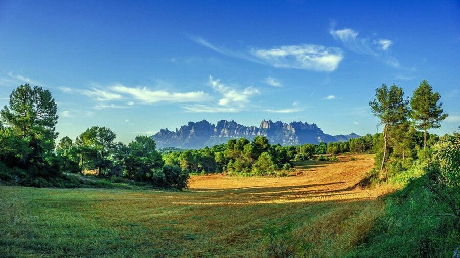 Barcelona: Sagrada Familia & Montserrat Full-Day with Pickup - Price and value: $128 makes sense if you use it as a time-saver