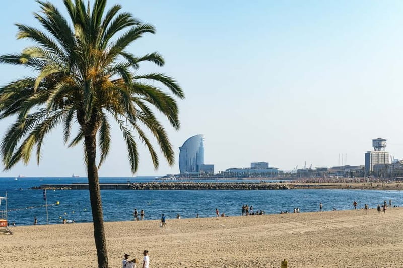 Barcelona: Sagrada Familia or City Tour by Bike or eBike - Port Olímpic and Vila Olímpica: Barcelona’s modern seaside side
