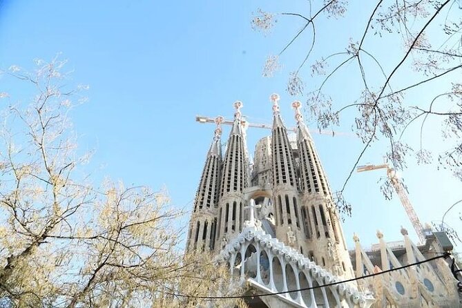 Barcelona: Sagrada Familia Skip The Line Insider Guided Tour - Towers Are Not Included: Don’t Accidentally Plan the Same Day Twice