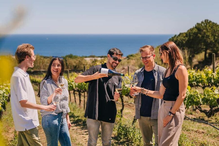 Barcelona: Sailing Cruise & Vineyard Tour with Wine Tasting - Arriving in Alella: short transfer to a wine village setting