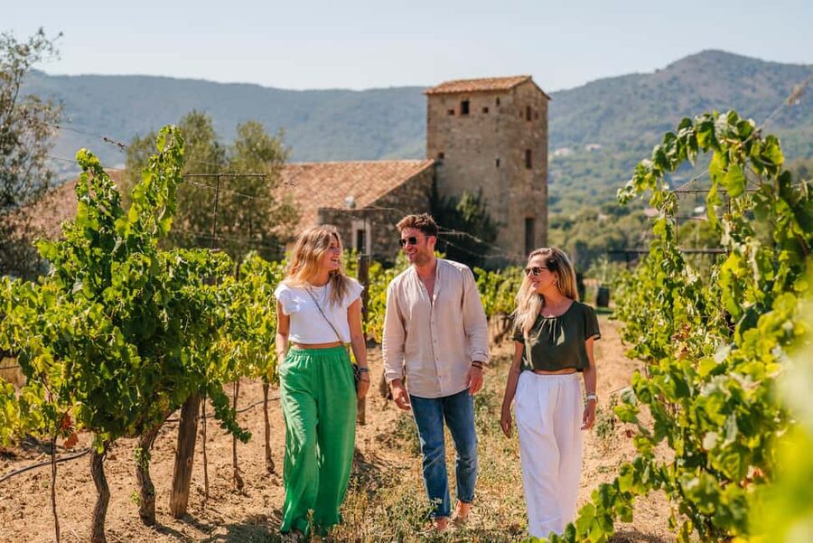 Barcelona: Sailing Cruise & Vineyard Tour with Wine Tasting - Who this tour is best for (and who should think twice)