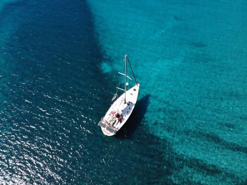 Barcelona: Sailing Tour with Drinks and Snacks - Dolphins and Sea Life: A Bonus If Conditions Cooperate