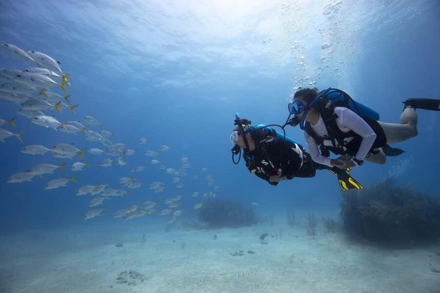 BARCELONA: SCUBA DIVING INITIATION - Dive in and experience underwater adventures - 2 hours - Key takeaways before you book