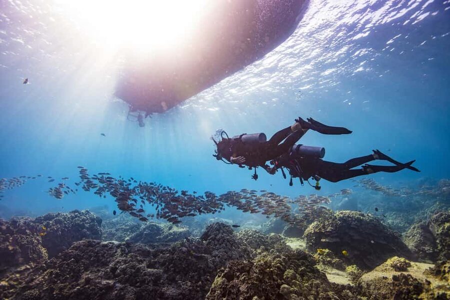 BARCELONA: SCUBA DIVING INITIATION - Dive in and experience underwater adventures - 2 hours - Why the Olympic Port beach-entry setup is so practical
