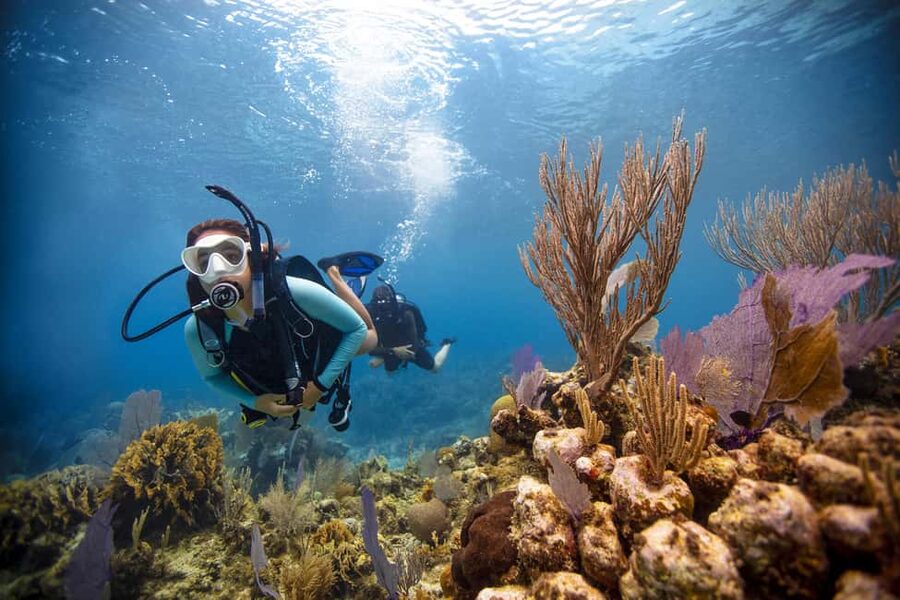 BARCELONA: SCUBA DIVING INITIATION - Dive in and experience underwater adventures - 2 hours - The pre-water routine: gear, briefing, and learning the basics