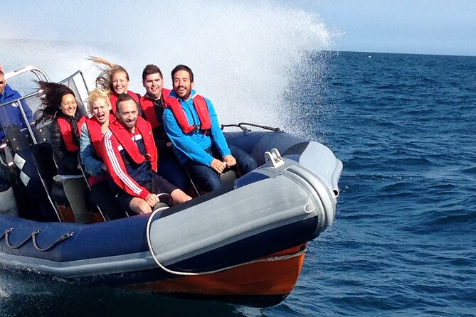 Barcelona Speedboat Coastline Tour - Key highlights before you go