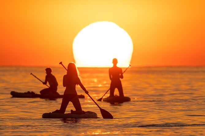 Barcelona: Sunrise Paddle Surf with Instructor and Photos - Who should book this sunrise paddle