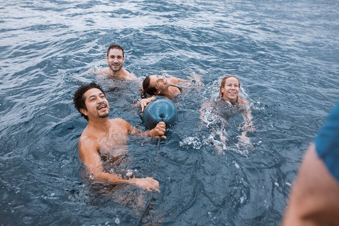 Barcelona Sunset Cruise with Open Bar of Cava and Snacks - Open-bar cava and snacks: the value side of the deal