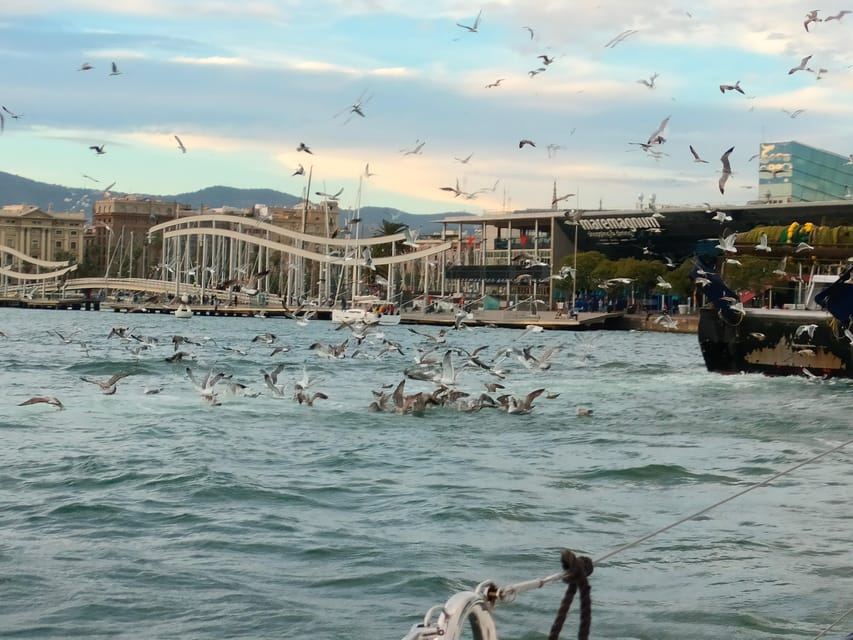 Barcelona: Sunset Cruise with Snacks and Drinks - Key things I’d bet on