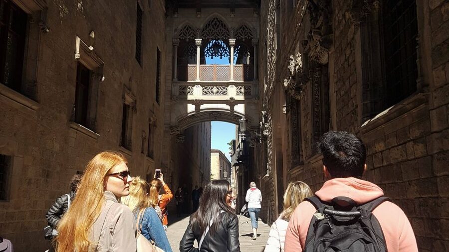 Barcelona: Tapas & Picasso Museum Guided Walking Tour - Should you book: the honest call