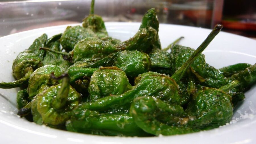 Barcelona: Tapas & Picasso Museum Guided Walking Tour - Who this tour is best for