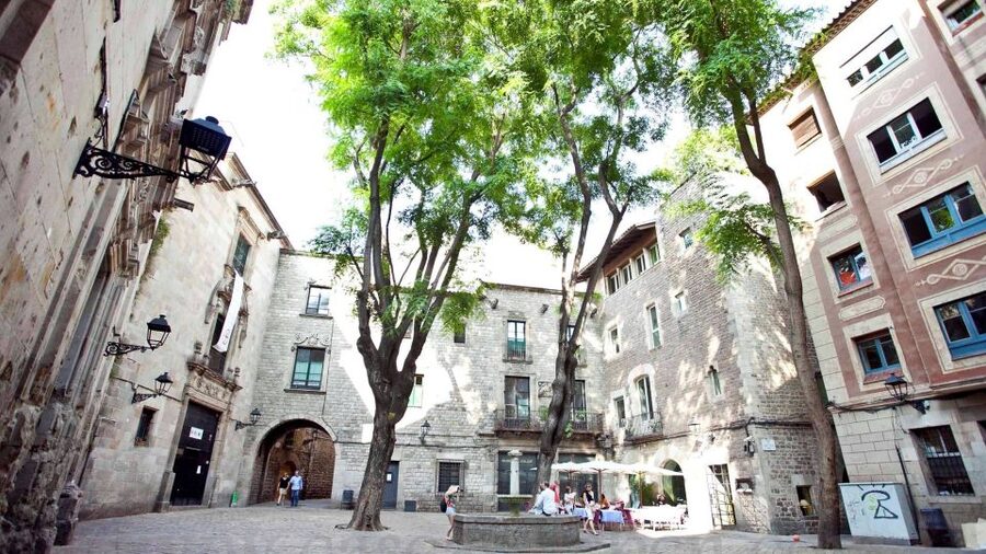 Barcelona: Tapas & Picasso Museum Guided Walking Tour - Picasso Museum in the Born district: what you’re actually getting