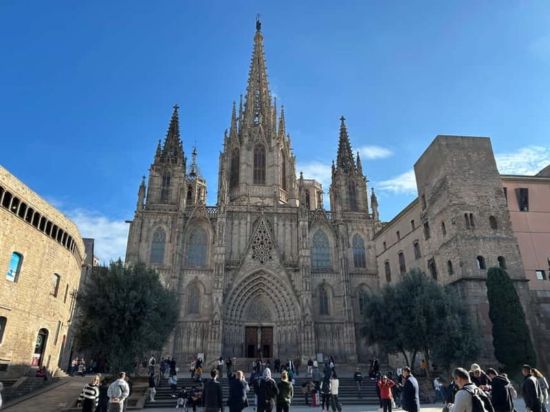 Barcelona: Top Sights by Bike Tour - Parc de la Ciutadella and Arc de Triomf: shifting from street to open air