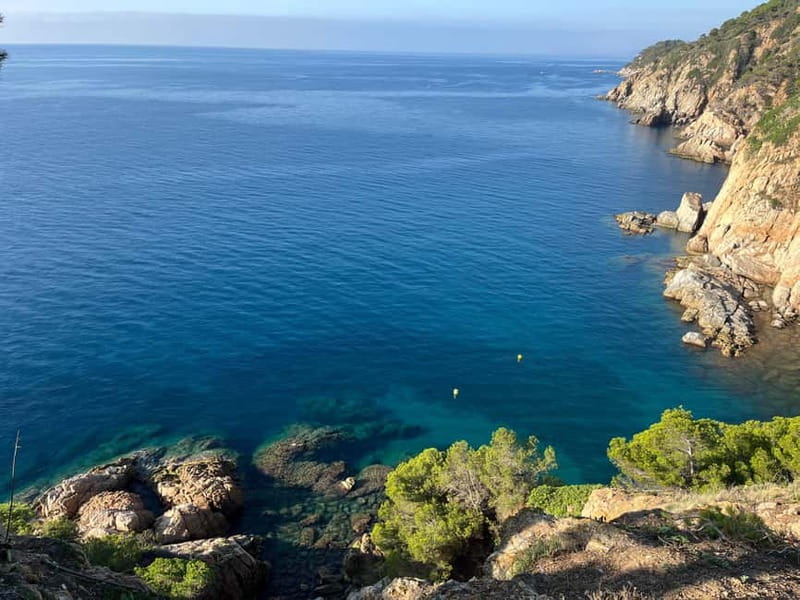 Barcelona: Tossa de Mar & Costa Brava boat, very small group - Cala Giverola Beach Time: Swim, Snorkel, and Optional Kayak Rental
