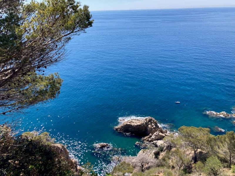 Barcelona: Tossa de Mar & Costa Brava boat, very small group - Logistics That Feel Simple: Van Ride, Timing, and Meeting Points