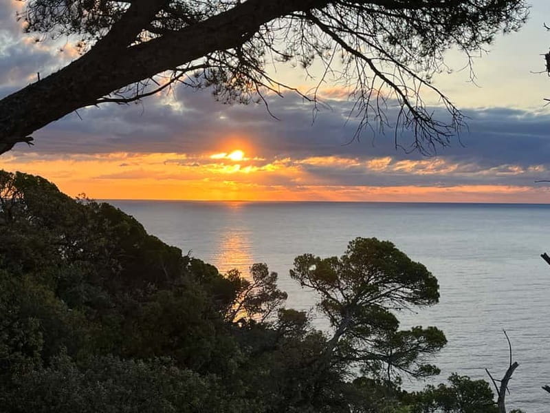 Barcelona: Tossa de Mar & Costa Brava boat, very small group - Coffee Stop, Coastal Path, and the Medieval Walls of Tossa de Mar