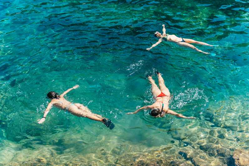 Barcelona: Tossa de Mar Kayak & Snorkel Tour w/3-Course Meal - Snorkeling Time: Clear Water, Wildlife Chances, and Optional Adrenaline