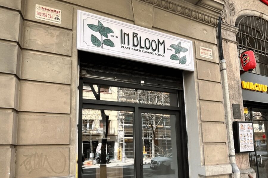 Barcelona: Vegan Paella and traditional rice dishes - A vegan paella school near Plaza España that keeps things hands-on
