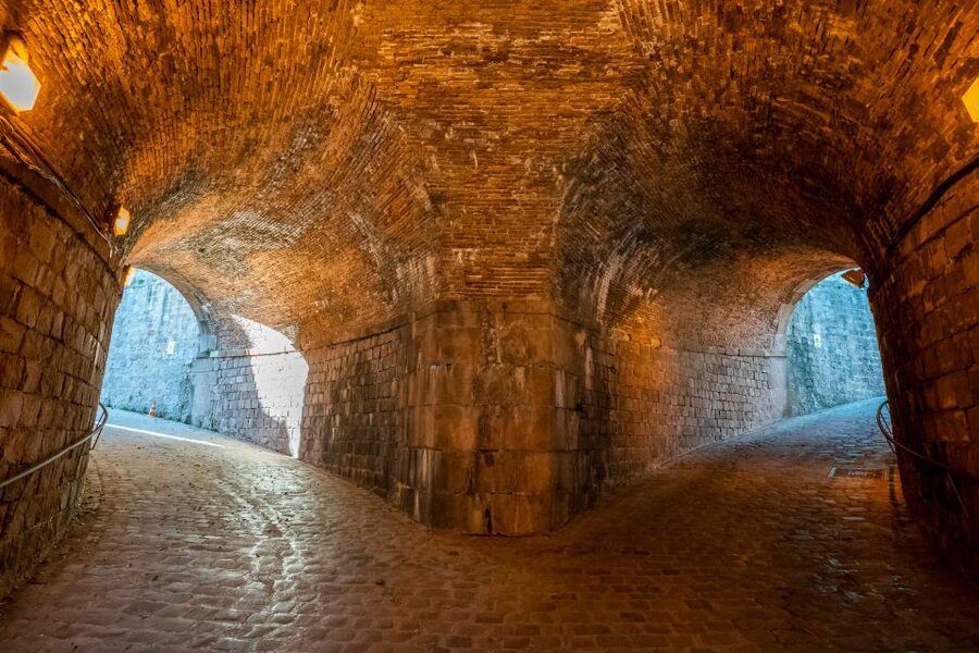 Barcelona: Walking tour with Montjuic Castle & Cable Car - El Raval: a multicultural neighborhood with personality (and a famous cat)