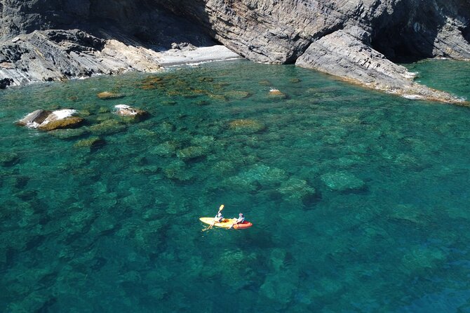 Barcelona Wild Experience: Kayak and Snorkel in Costa Brava - Key highlights at a glance