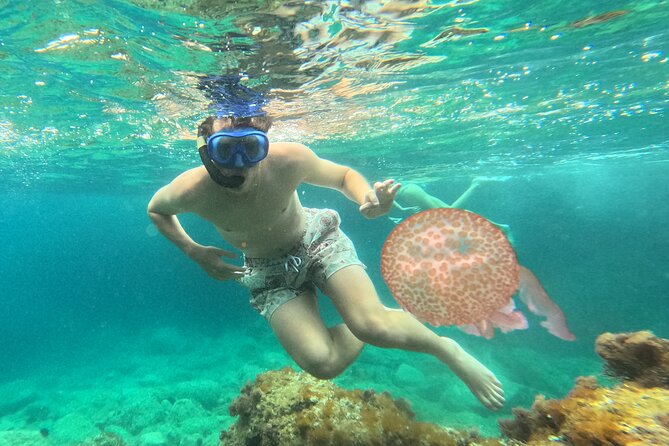 Barcelona Wild Experience: Kayak and Snorkel in Costa Brava - Snorkeling session: underwater time with optional cliff jumping