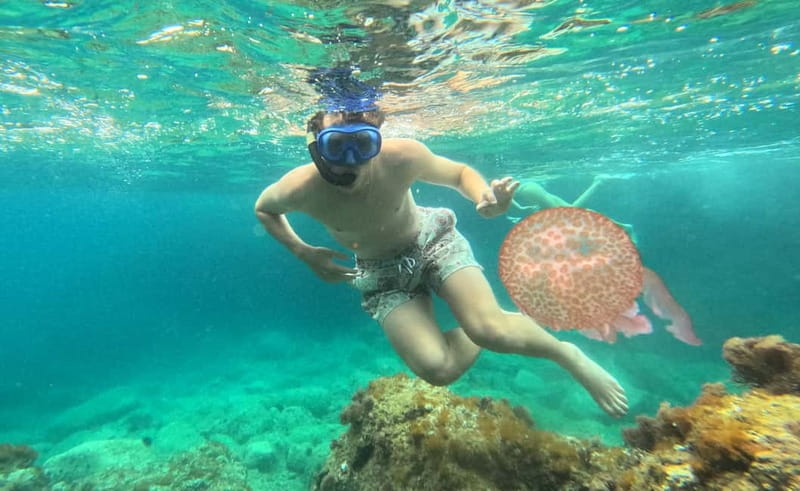 Barcelona Wild Experience: Kayak & Snorkel in Costa Brava - Price and value: is $141 actually fair for what you get?