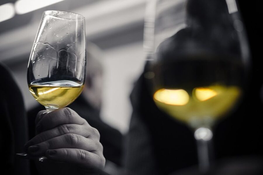 Barcelona Wine Tasting: Catalan and Spanish Wines - Key things you’ll notice in this Barcelona wine tasting