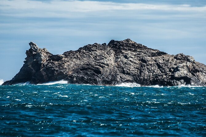 Boat through Cap de Creus and Port Lligat visit Cadaqués 1H30 - Cap de Creus National Park and the Faro at the Eastern Tip