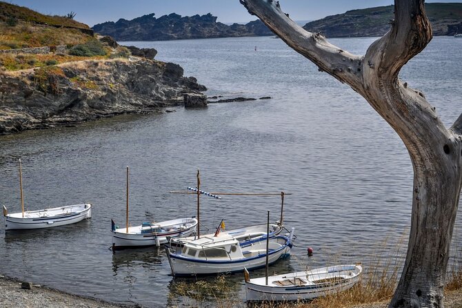 Boat through Cap de Creus and Port Lligat visit Cadaqués 1H30 - Weather, Time, and Group Size: Small Details That Matter