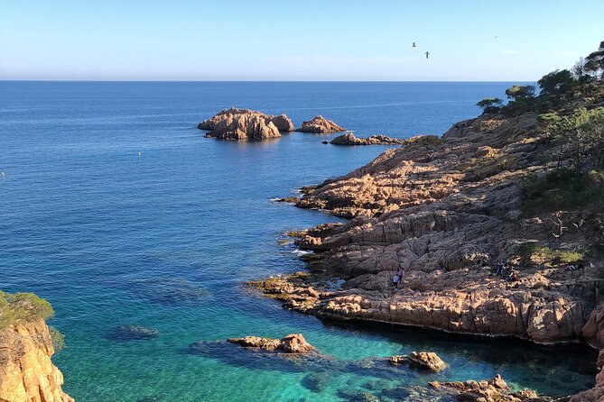 Cadaqués/Begur Private Luxury Tour Costa Brava by Mercedes Vogue - Key Points You’ll Care About