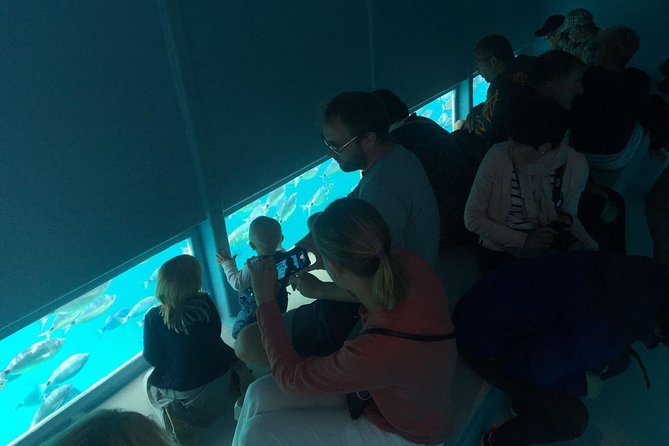Cala Murtra: Immerse yourself in the beauty of an underwater world - Weather, comfort, and the reality of “one-cove” tours