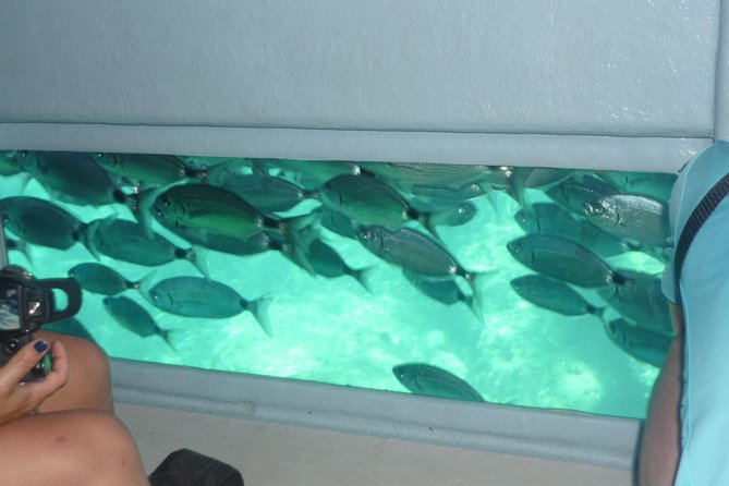 Cala Murtra: Immerse yourself in the beauty of an underwater world - Who this trip suits best (and who should think twice)