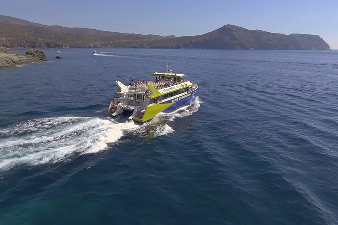 Cala Murtra: Immerse yourself in the beauty of an underwater world - Underwater hull windows: The main event (and how to time your eyes)