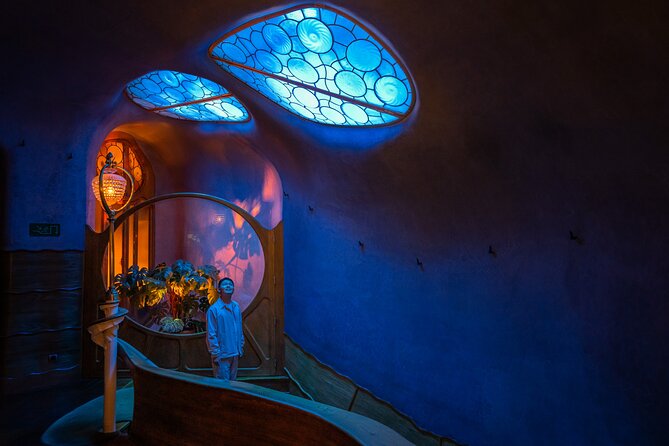 Casa Batlló : Night Visit "A Winter Night" - A Winter Night: What Changes When Casa Batlló Is Lit Up