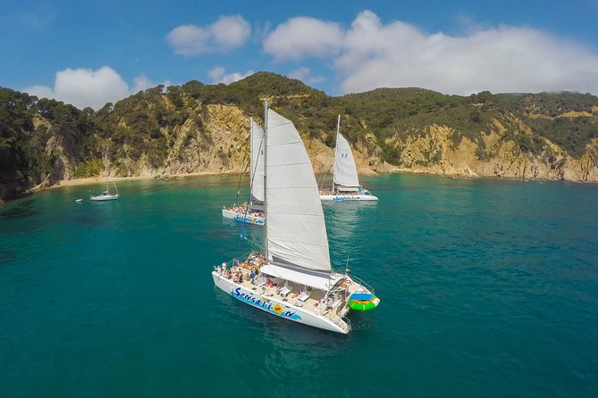 Catamaran ride -Costa Brava with barbecue and drinks. Familiar. - The Cove Swim Stop: Anchored Near Rocks, Built for Cooling Off