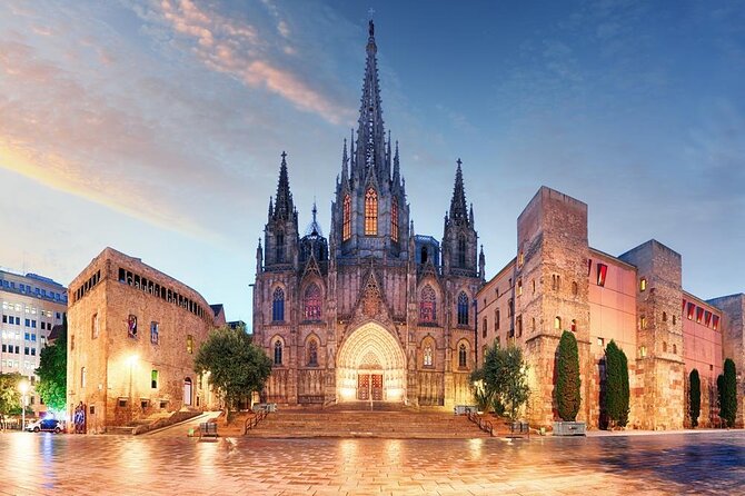 Cathedral of Barcelona Entrance Ticket - Optional Private Guide - Entering Barcelona Cathedral Quickly (And Getting to the View Part)
