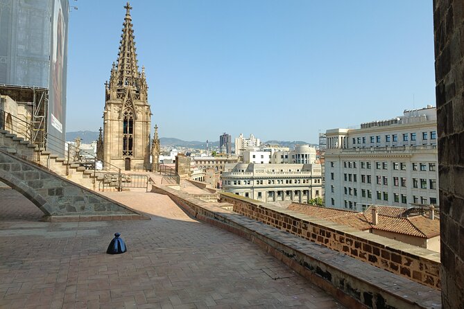 Cathedral of Barcelona Entrance Ticket - Optional Private Guide - Rooftop Terrace Tips: Views, Effort, and What to Wear