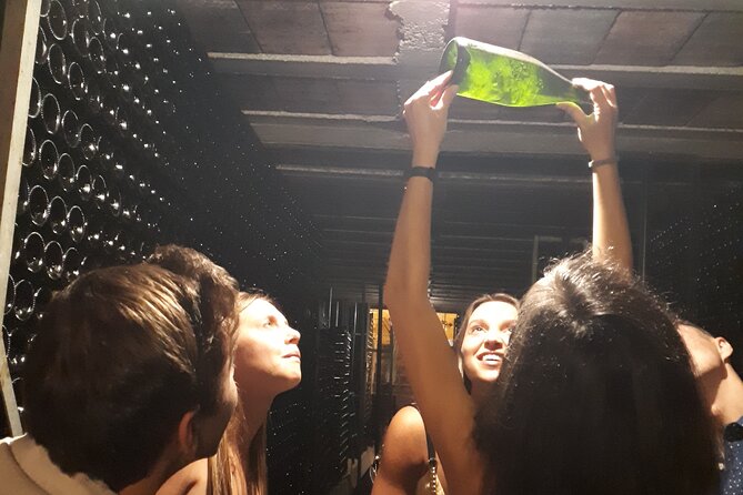 Cava tour to 3 family wineries with hotel pick-up - Key Things to Know Before You Go