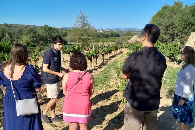 Cava tour to 3 family wineries with hotel pick-up - The Small-Group Magic: Up to Eight People, Real Conversation