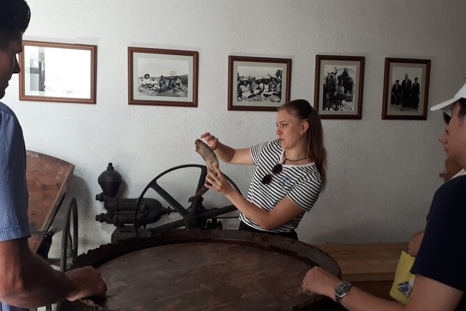 Cava tour to 3 family wineries with hotel pick-up - Hotel Pickup in Barcelona: Your Morning Starts Smooth