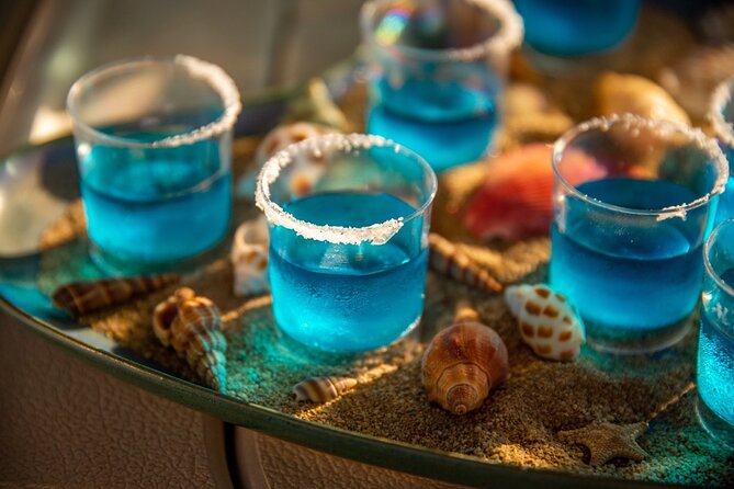 Cocktails Workshop & Sailing Cruise from Barcelona - Meeting at Marina Vela: easy, but come ready