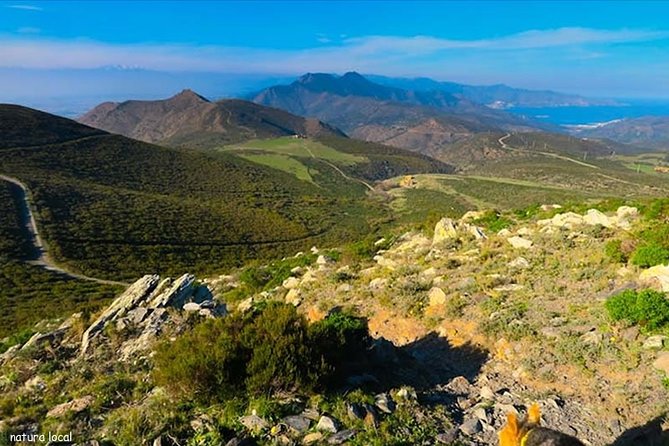 Costa Brava and Girona Small Group Easy Hike from Barcelona - Key things that make this tour worth your time