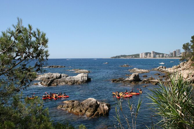 Costa Brava Guided Kayak and Snorkeling Excursion in Playa de Aro - Snorkeling stops: what you can realistically see