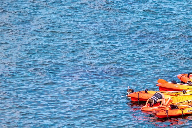 Costa Brava Guided Kayak and Snorkeling Excursion in Playa de Aro - Timing and pacing: how 2 hours can feel like more