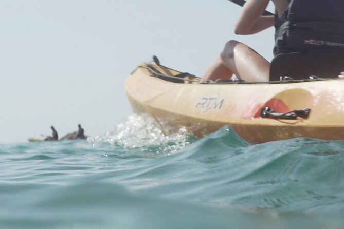 Costa Brava: Kayak, Snorkel, Photos, Lunch, Beach & Cliff Jump! - Who This Tour Fits Best