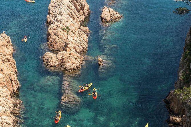 Costa Brava Kayaking and Snorkeling Small Group Tour with Lunch - A Barcelona day trip that feels like a vacation reset